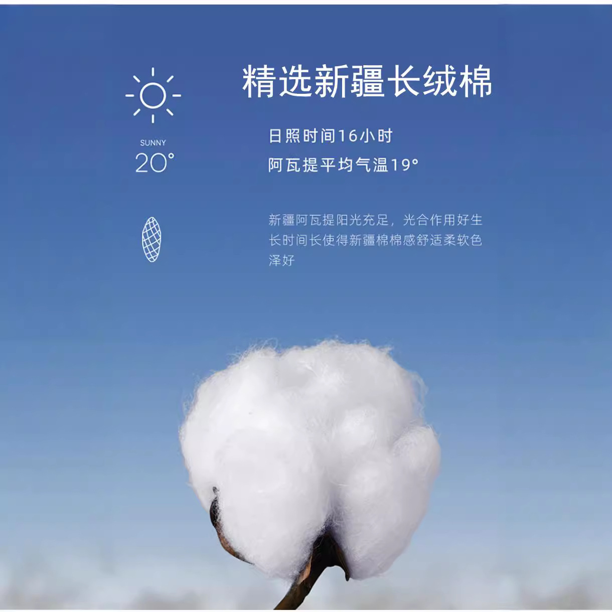 商品图4